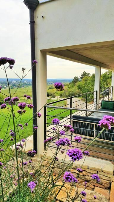 La Maison De L'Ecu : Charme Et Vue Incroyable Бон Екстер'єр фото